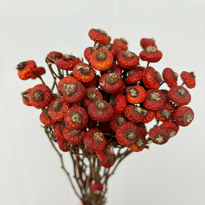 Dried Flower Bulk - 10 Pezzi/Buquet di Fiori di Rosa
