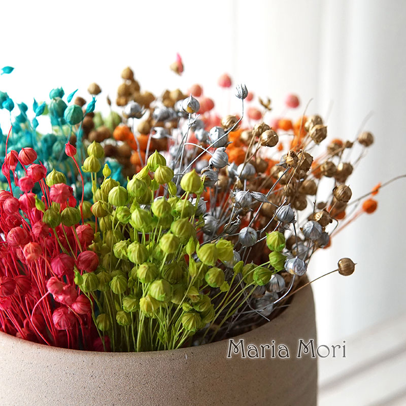 Dried Flower Bulk - 5g di fagioli di lino conservati