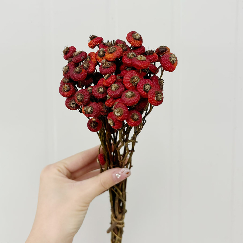 10 Pezzi/Buquet di Fiori di Ro - Dried Flower Bulk recensione e prezzo