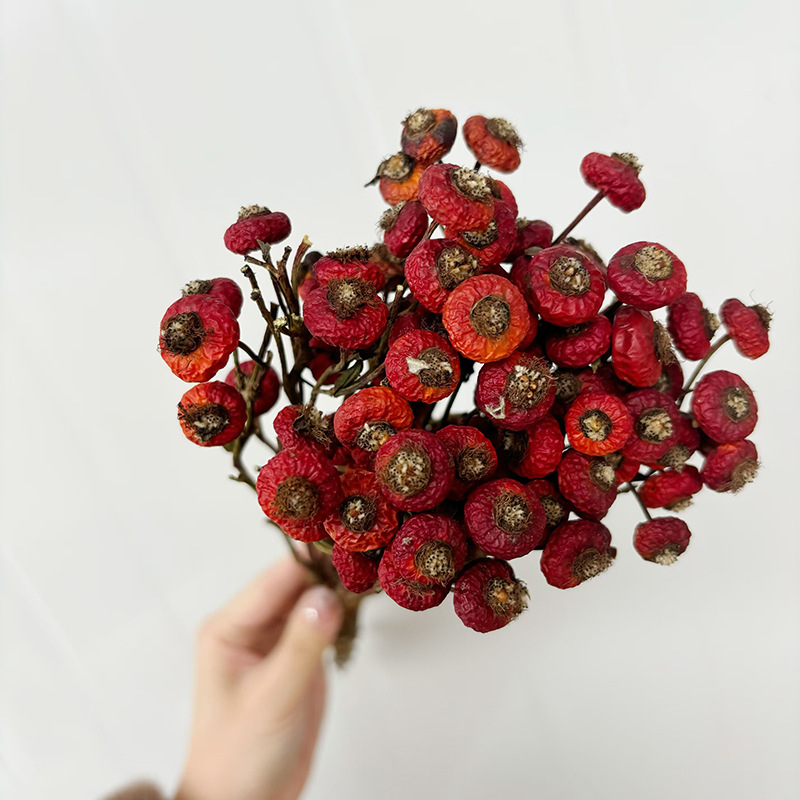 10 Pezzi/Buquet di Fiori di Ro - Dried Flower Bulk recensione e prezzo