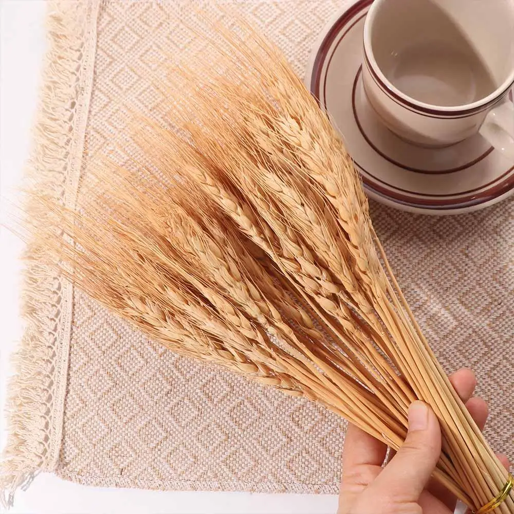 50 Pezzi di Steli di Grano Ess - Dried Flower Bulk recensione e prezzo
