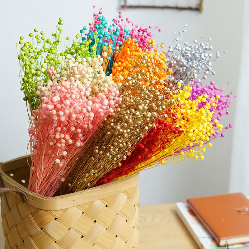 35g/Ormosia Hosiei conservato  - Dried Flower Bulk recensione e prezzo