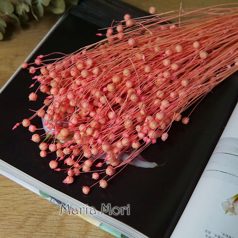 35g/Ormosia Hosiei conservato  - Dried Flower Bulk recensione e prezzo