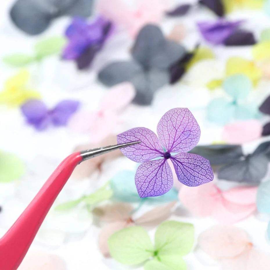 1 scatola Real Dry Flower Nail - Dried Flower Bulk recensione e prezzo