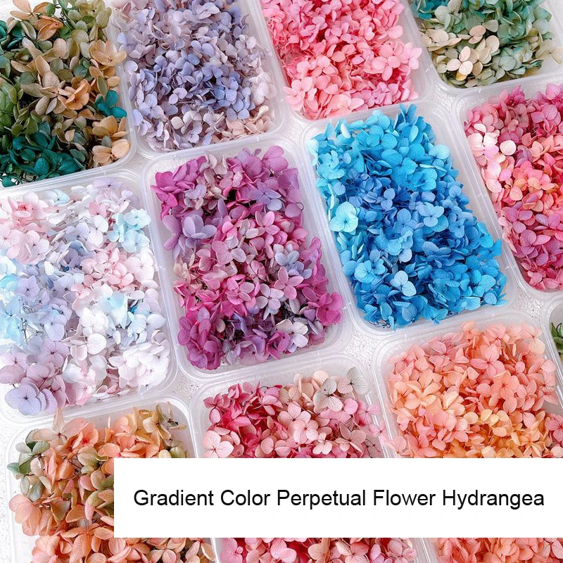 1 scatola Real Dry Flower Nail - Dried Flower Bulk recensione e prezzo