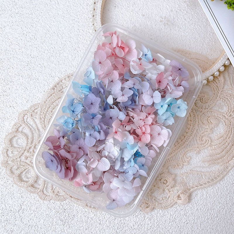 1 scatola Real Dry Flower Nail - Dried Flower Bulk recensione e prezzo