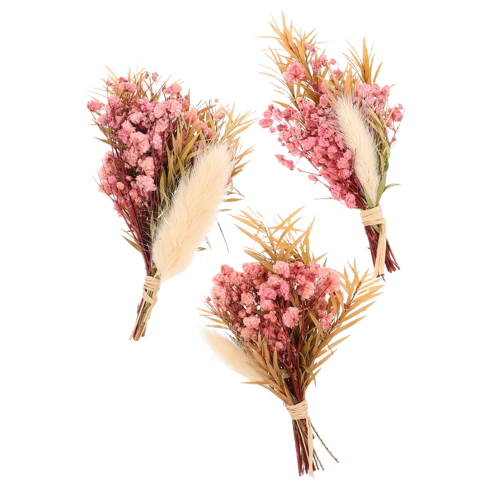 Set di 3 Mini Bouquet di Fiori - Dried Flower Bulk recensione e prezzo