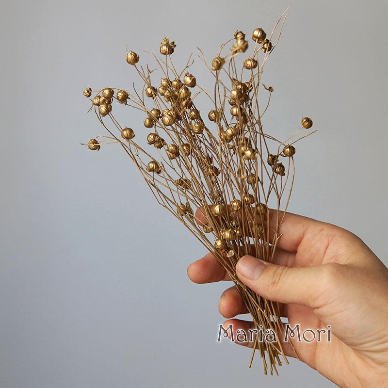 5g di fagioli di lino conserva - Dried Flower Bulk recensione e prezzo