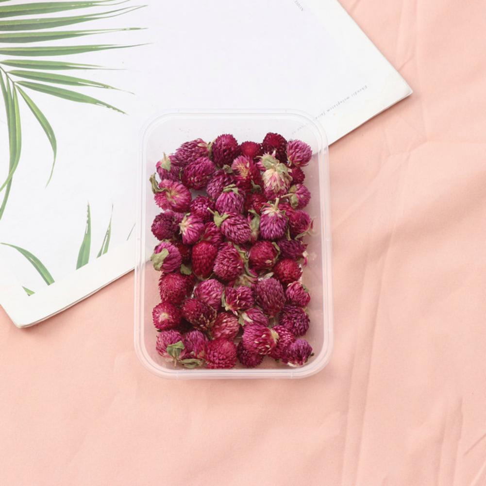 Fiori naturali Kit di fiori se - Dried Flower Bulk recensione e prezzo