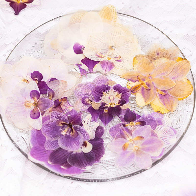 4 Pezzi Fiori di Orchidea Phal - Dried Flower Bulk recensione e prezzo