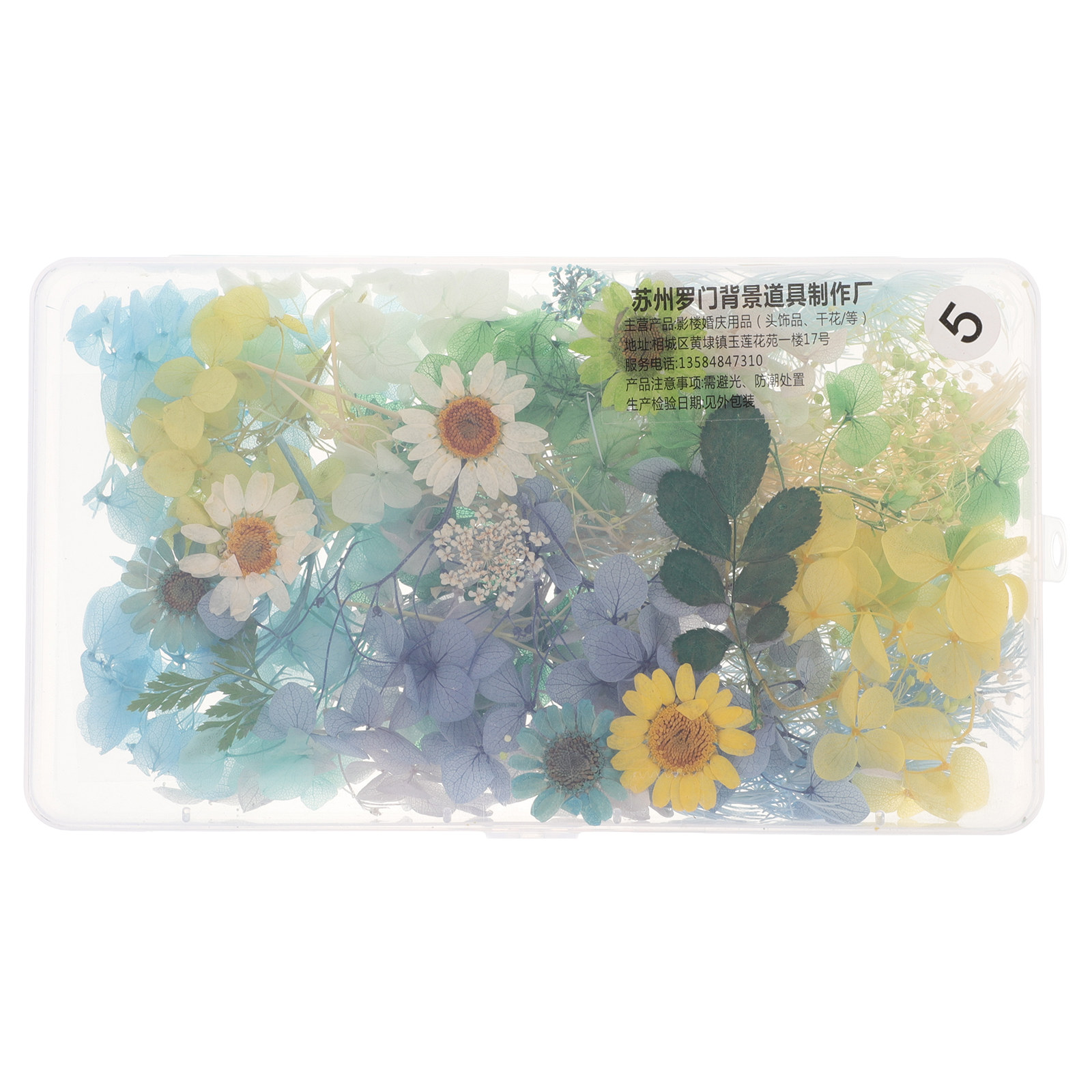 Kit di Fiori Secchi per Access - Resin Crafts Diy recensione e prezzo