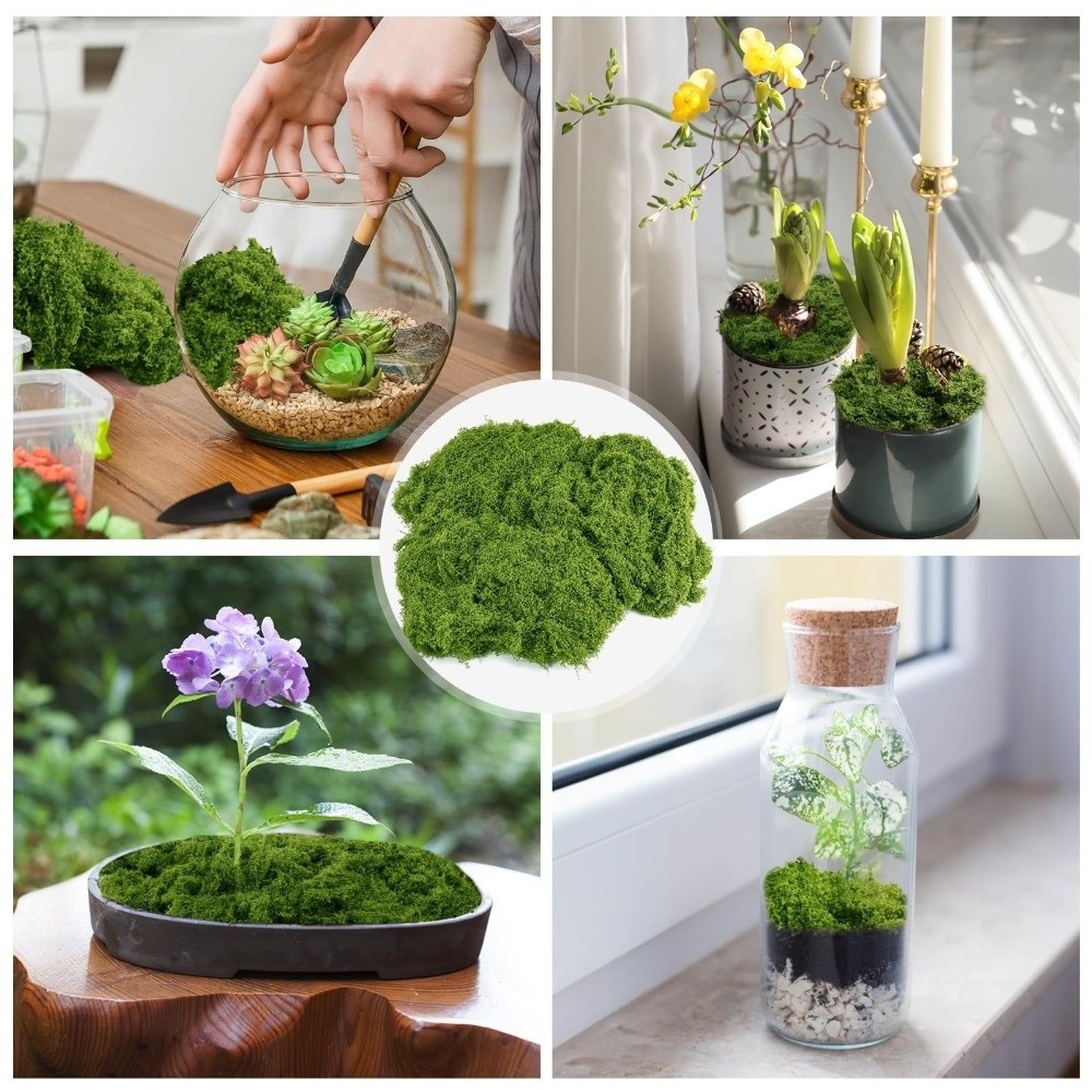 Piante di Muschio Artificiale  - Terrarium Moss Art recensione e prezzo