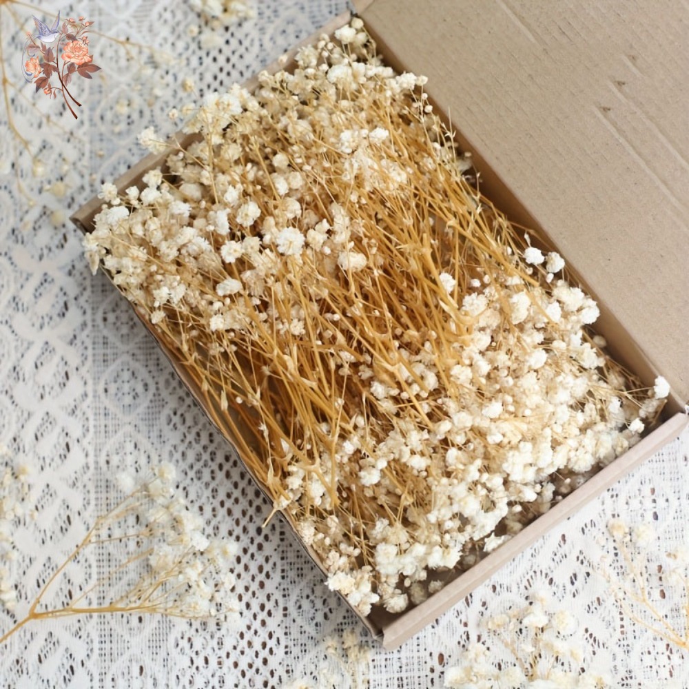100 Pezzi Mini Fiori Secchi di - Dried Flower Bulk recensione e prezzo