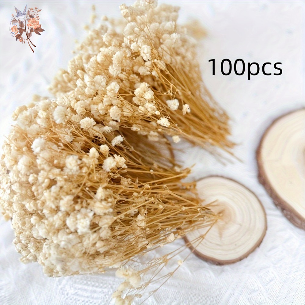 100 Pezzi Mini Fiori Secchi di - Dried Flower Bulk recensione e prezzo