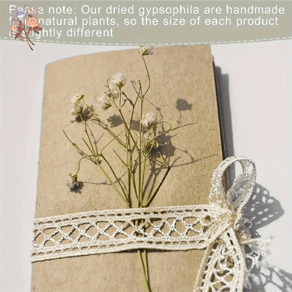 100 Pezzi Mini Fiori Secchi di - Dried Flower Bulk recensione e prezzo